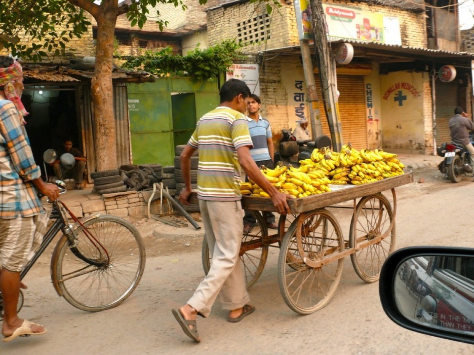 India - New Delhi - 