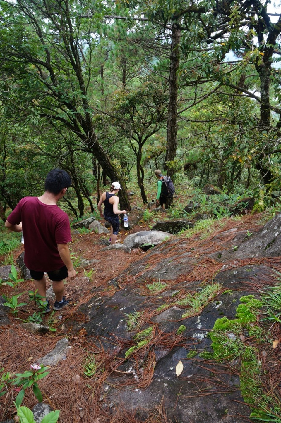 Vietnam - Da Lat - 