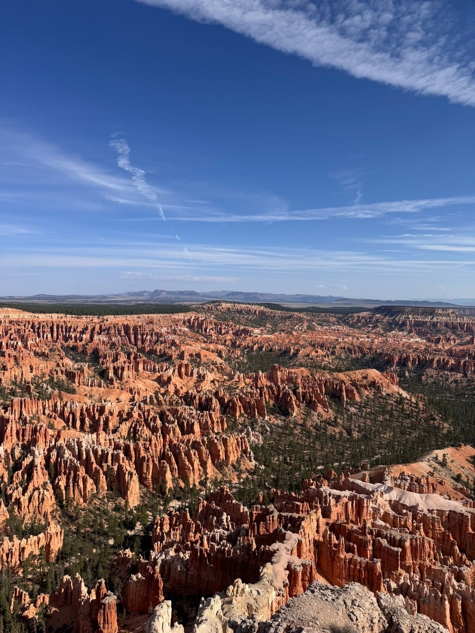 Vereinigte Staaten - Tropic - 