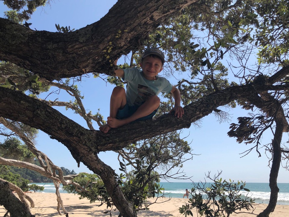 Neuseeland - Waihi Beach - Auch für Kletteraffen war etwas dabei 