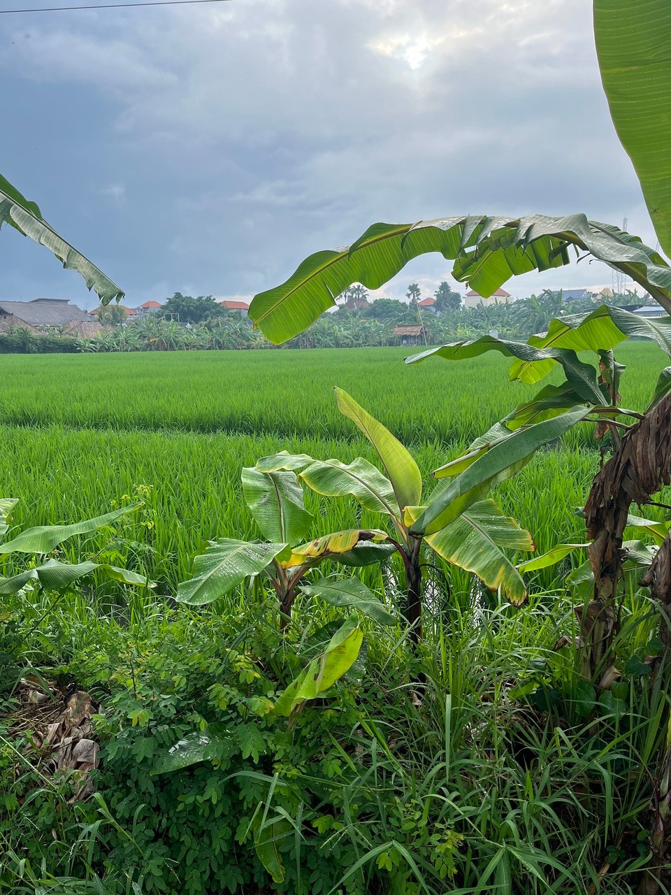 Indonesien - Kabupaten Badung - 