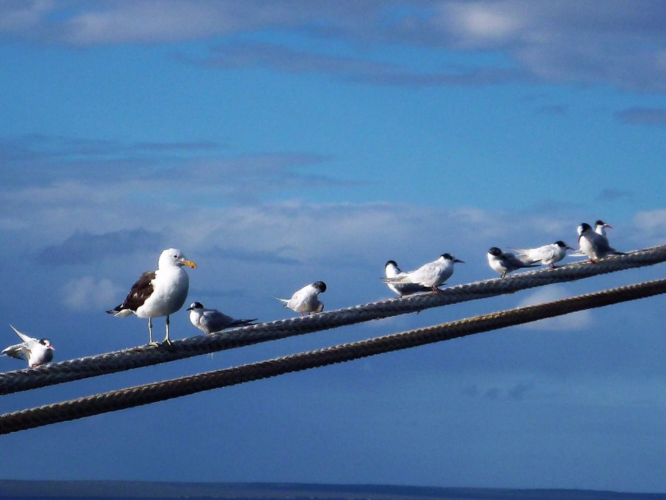 Argentinien - Puerto Madryn - 