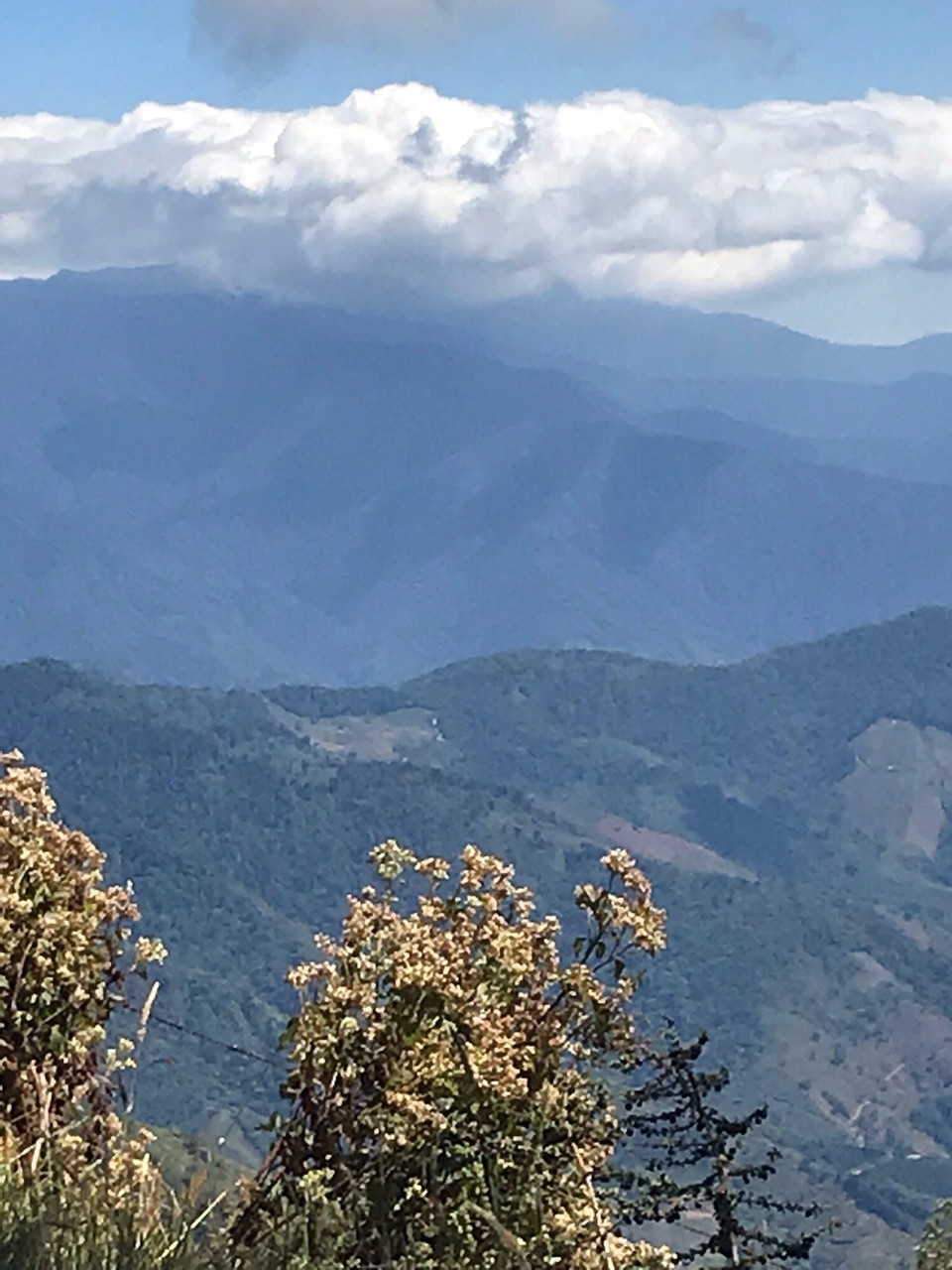 Costa Rica - Perez Zeledon - 