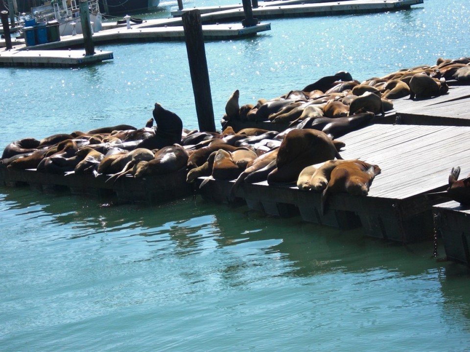 United States - San Francisco - 