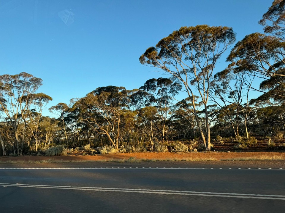 Australien - Kalgoorlie - 