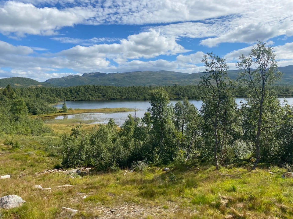 Norwegen - Gransherad - 