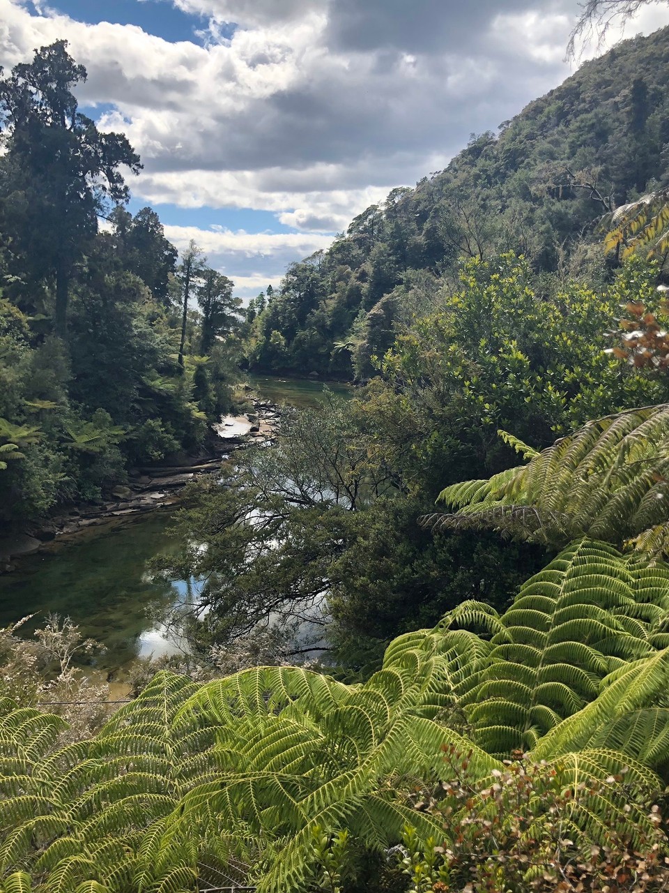 Neuseeland - Marahau - Blick von der Swing Bridge