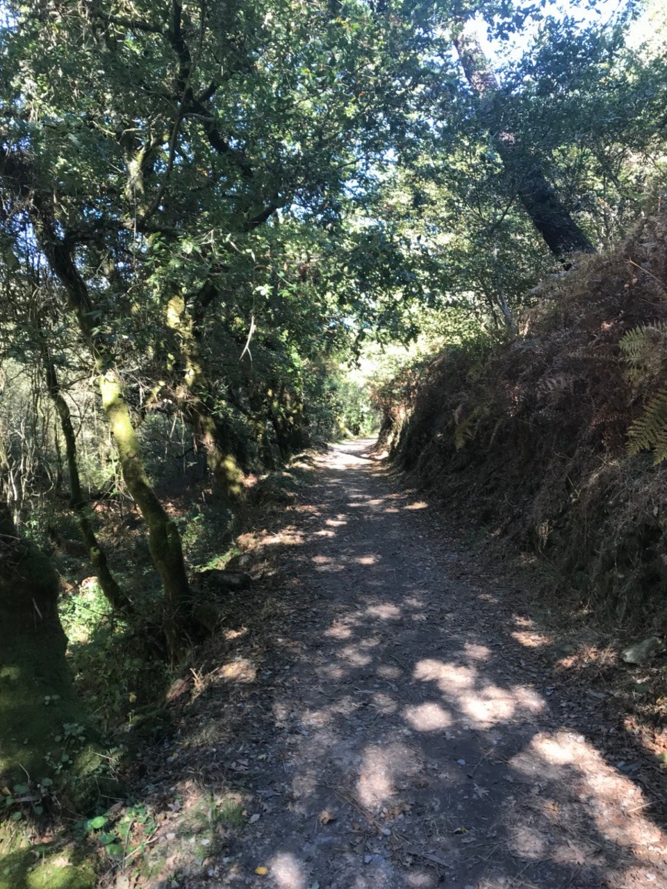 Spanien - Caldas de Reis - 