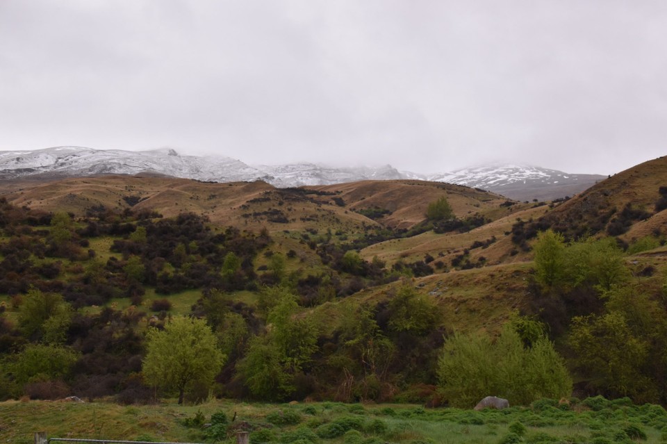 Neuseeland - Queenstown - Sah schon irgendwie skurril aus.