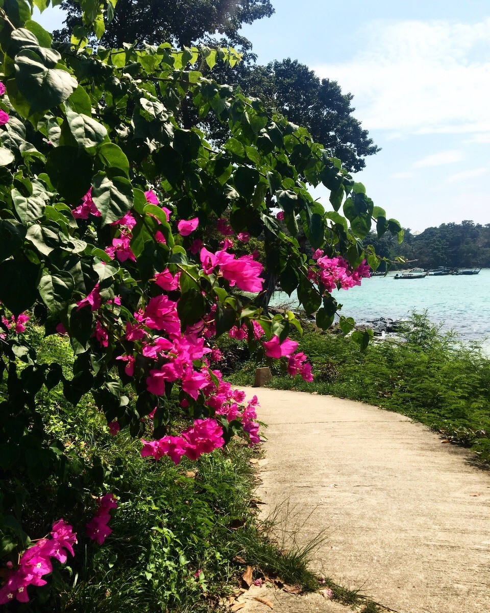 Thailand -  - Weg zum Long Beach 💜