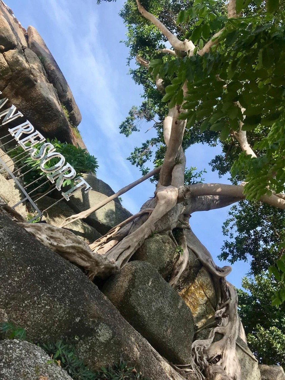 Thailand - Amphoe Ko Pha-ngan - 