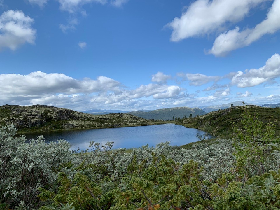 Norge - Bøverdalen - 