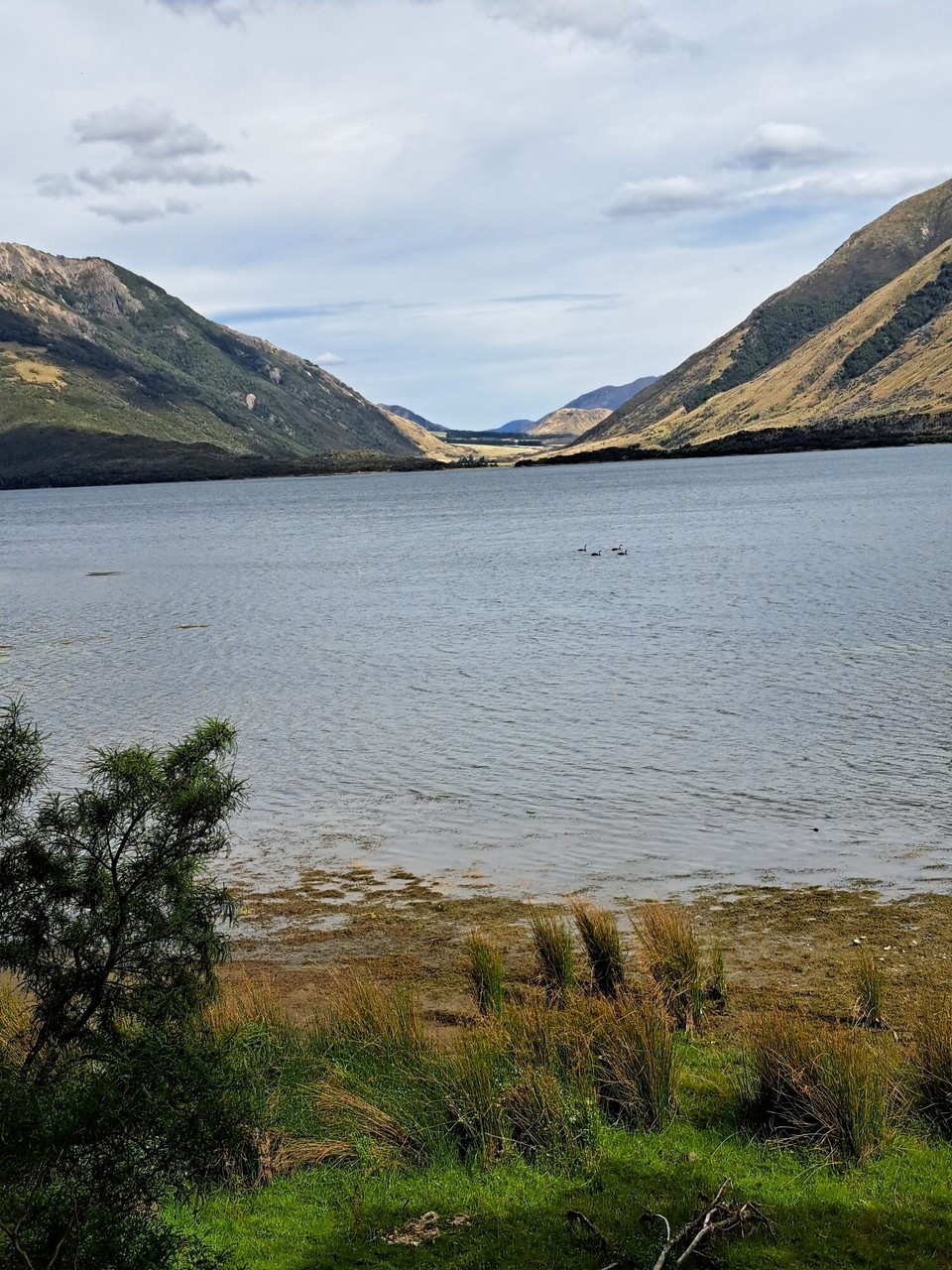 Neuseeland - Hurunui - 