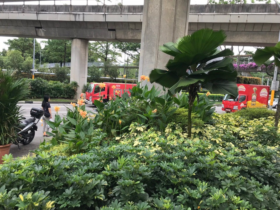 Singapur - Boon Lay and Pioneer - 