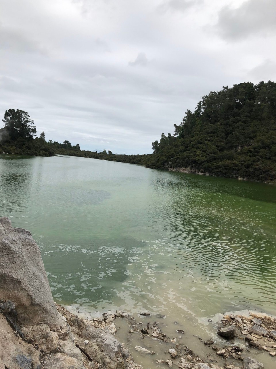 Neuseeland - Awakeri - Lake Ngakoro