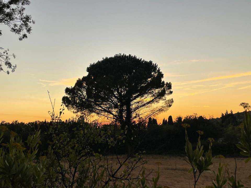 Frankreich - Avignon - 