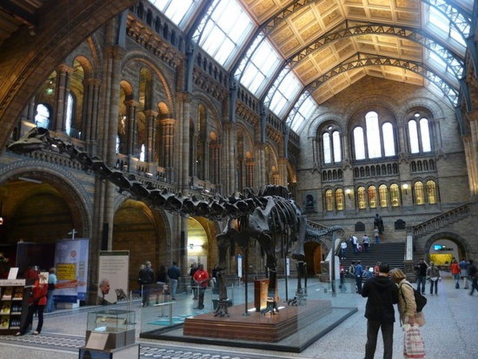 United Kingdom - Chelsea - London's natural history museum