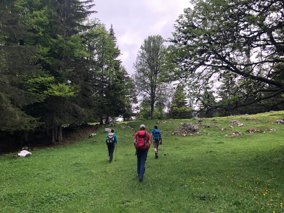 Schweiz - Arzier-Le Muids - 