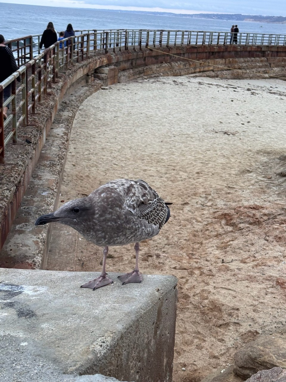 Vereinigte Staaten - San Diego - 