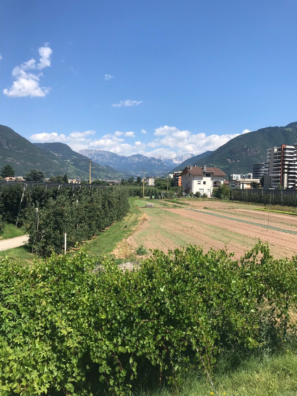 Italien - Bozen - 