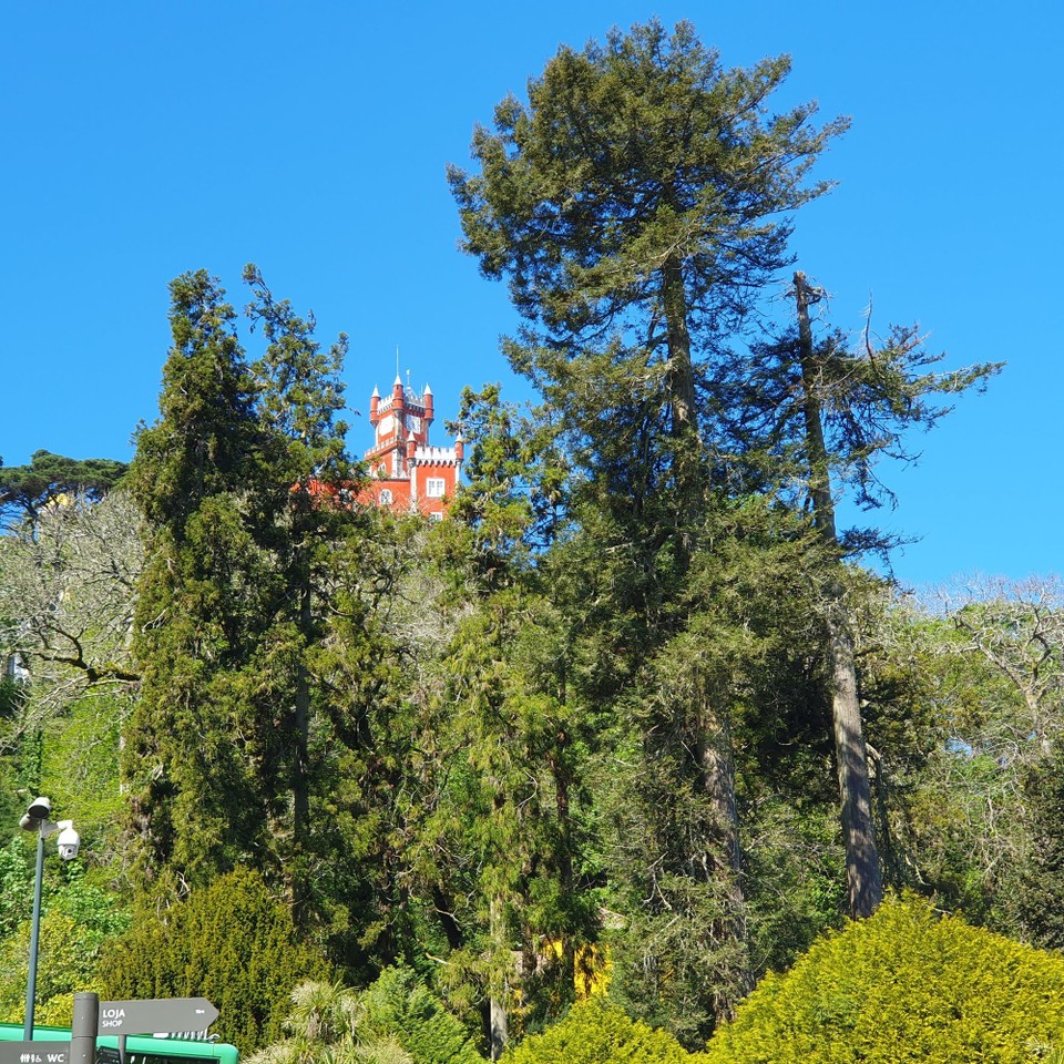 Portugal - Sintra - 