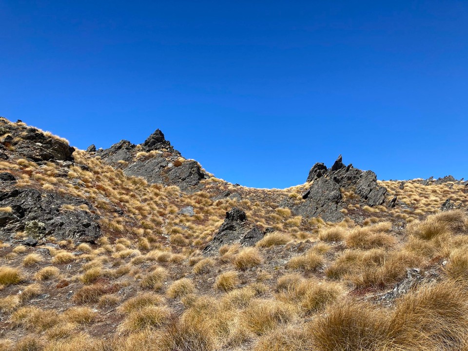 Neuseeland - Wanaka - 