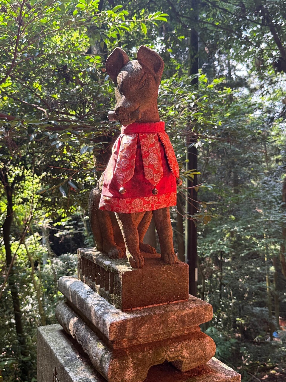 Japan - Kyoto -  🦊 