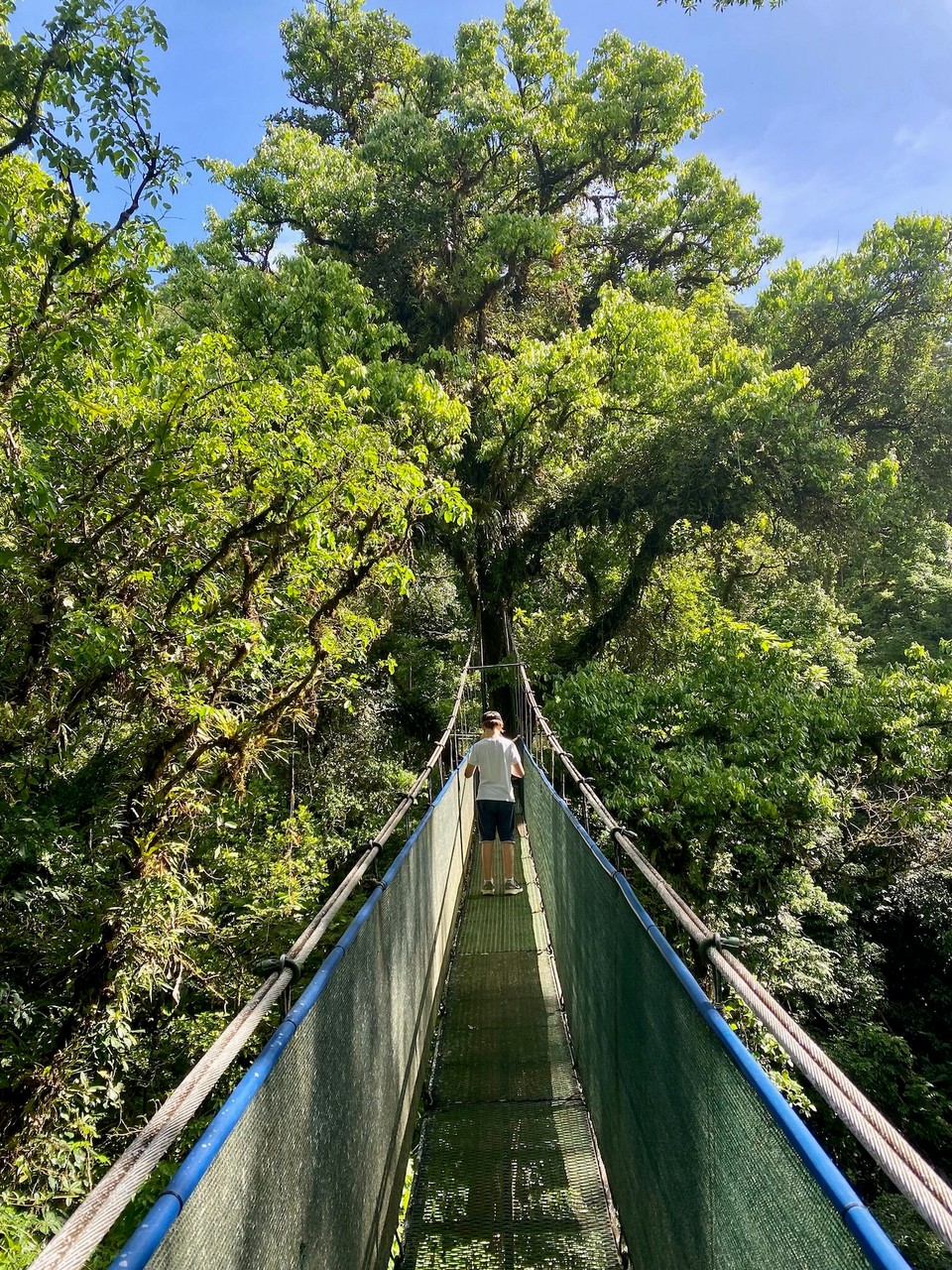 Costa Rica - Upala - Am nächsten Tag machten wir den Hangingbridges-weg. Alle drei Brücken waren etwa auf 30m Höhe. Mein Vater hatte Höhenangst und musste alleine und schnell rüber meine Schwester war das pure Gegenteil!😂