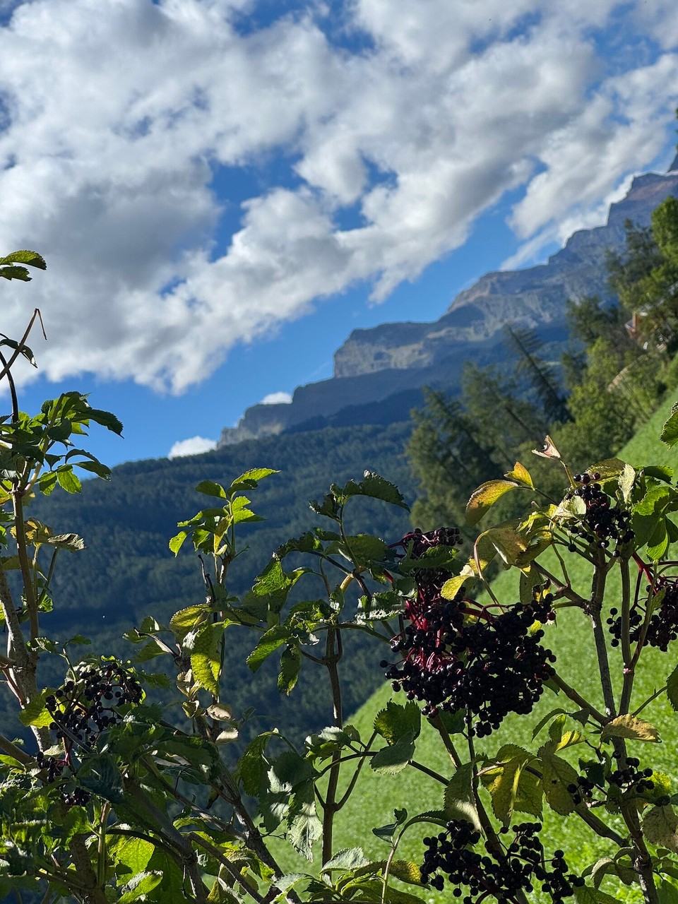 Italien - Brenner - 