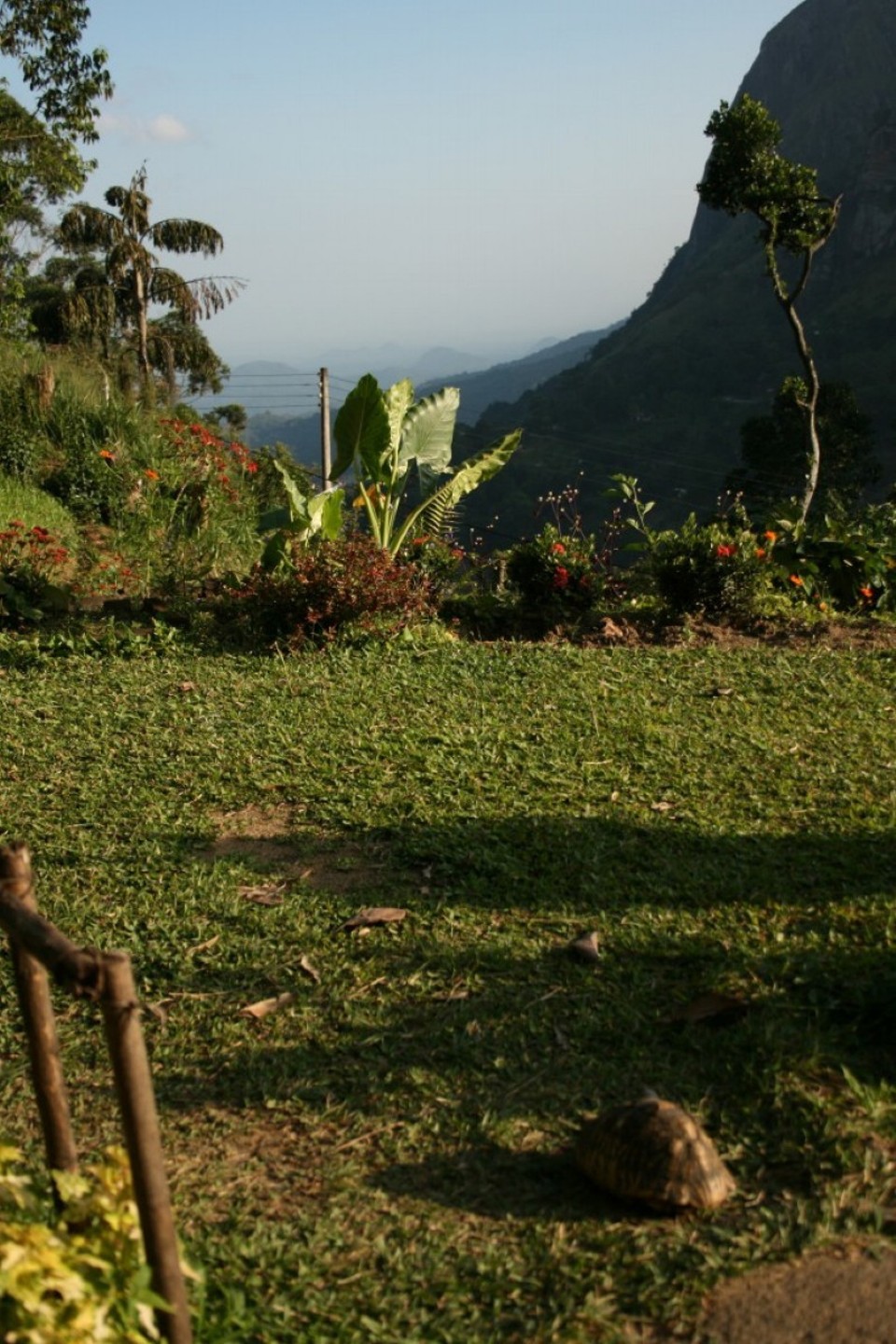 Sri Lanka - Ella - 