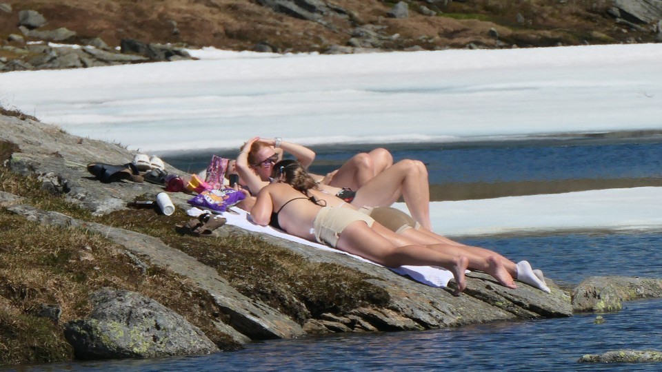 Norwegen - Fossbergom - Unerschrockene Sonnenanbeter