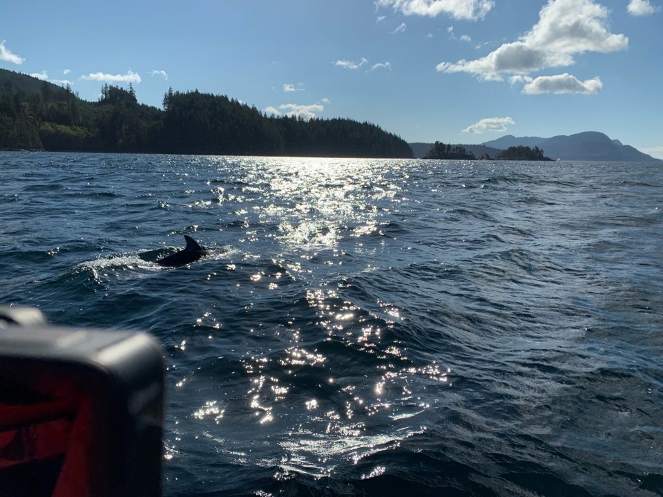 Kanada - Campbell River 11 - 