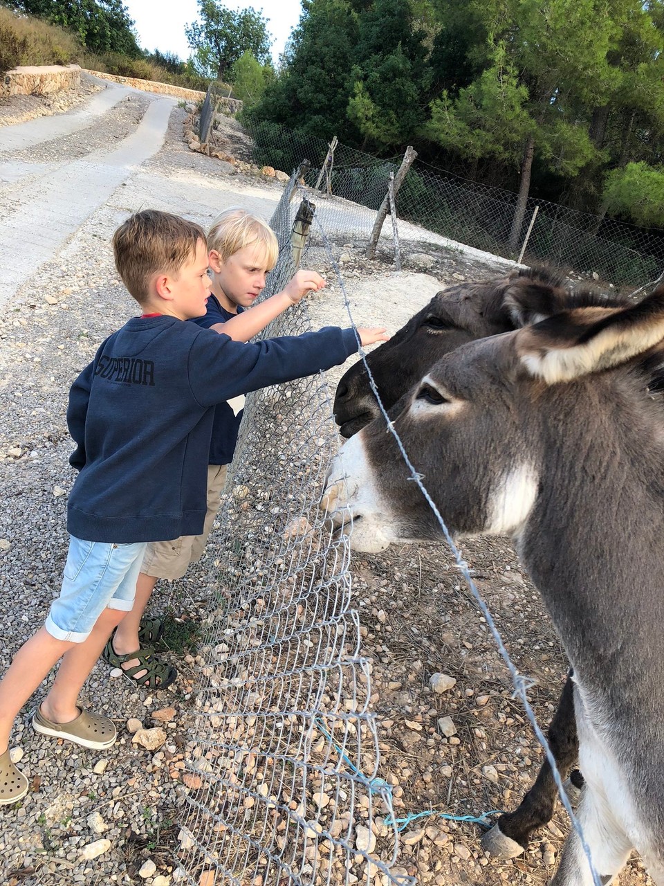 Spanien - Manacor - 
