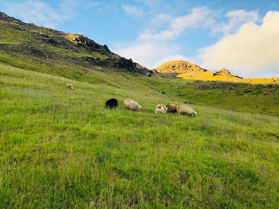 Iceland -  - 
