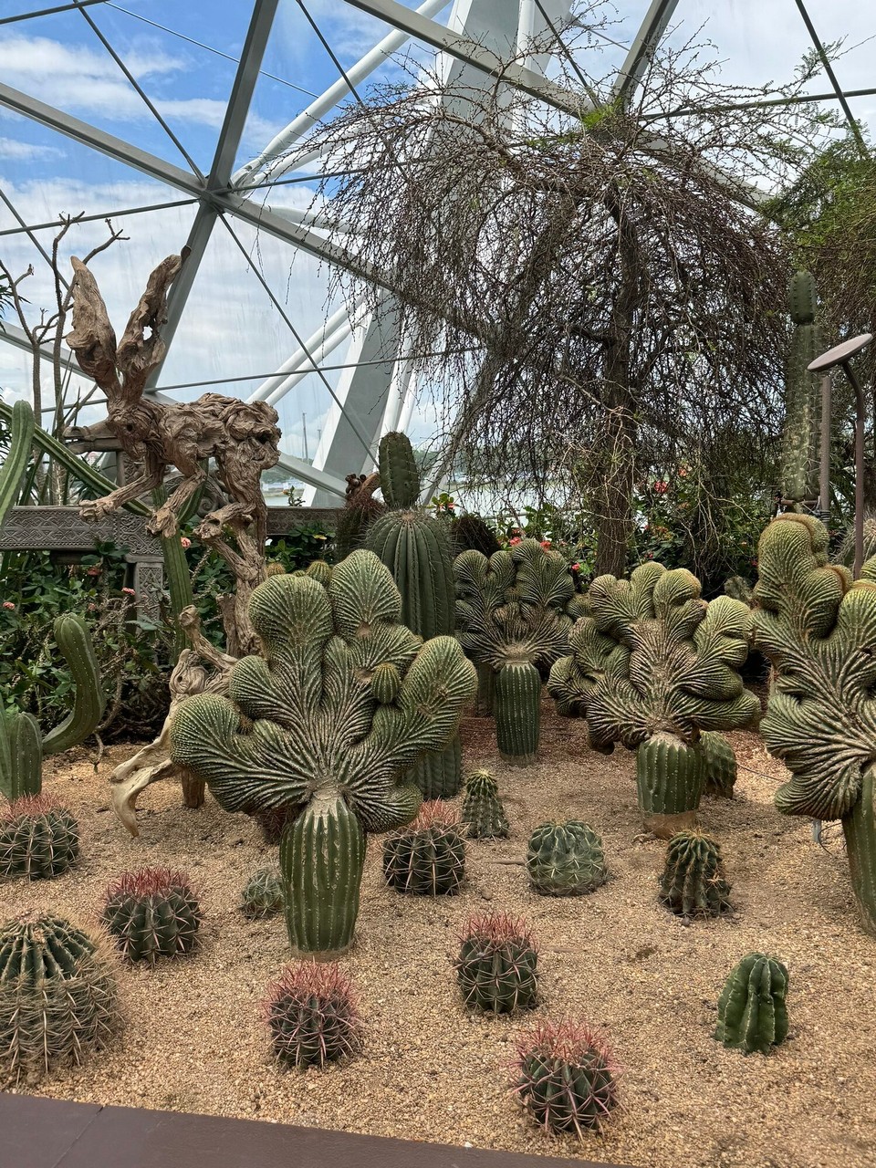 Singapur - Singapur - 