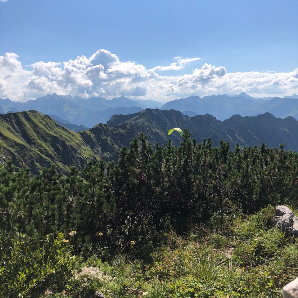 Deutschland - Oberstdorf - ..,Drachenflieger…mutige Könner 