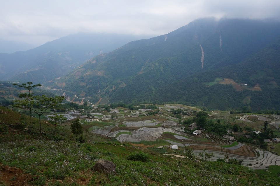 Vietnam -  - 
