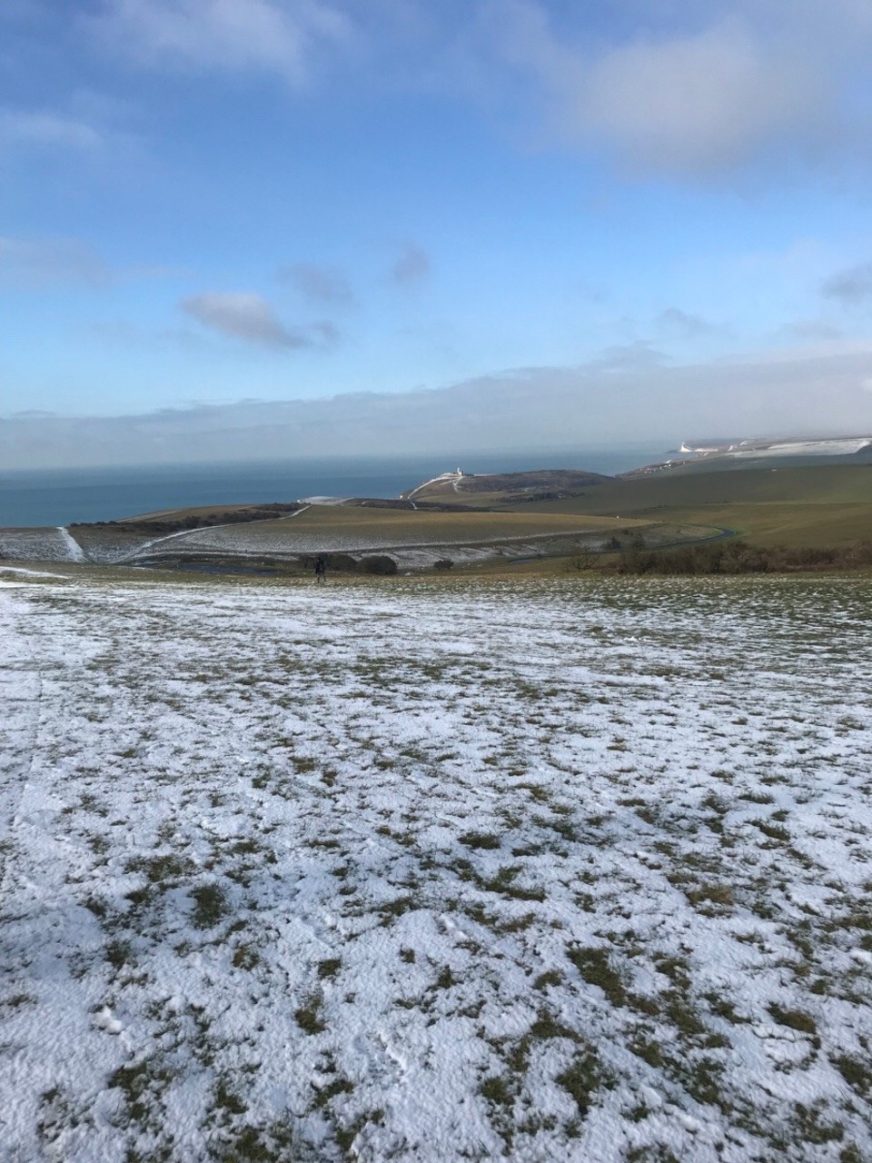 Vereinigtes Königreich - Brighton - 
