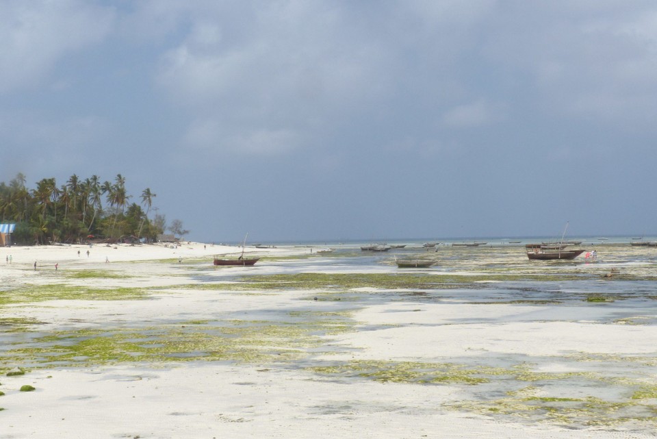 Tansania - Nungwi - 