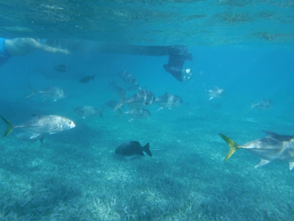Belize -  - 