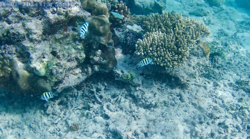 Indonesien - Kabupaten Lombok Utara - 
