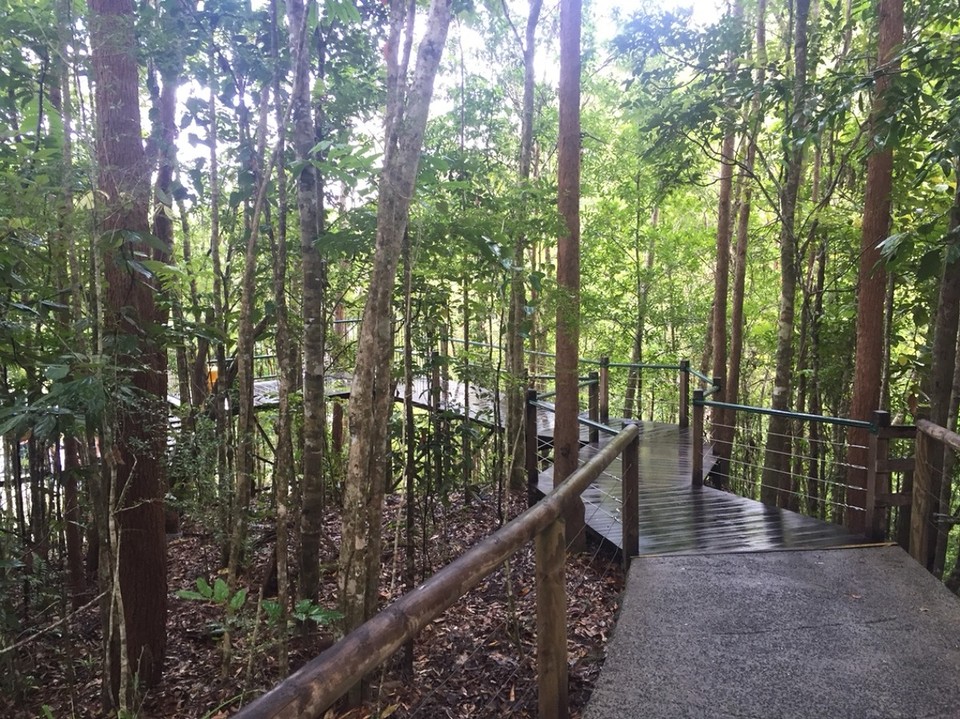 Australien - Cairns North - 