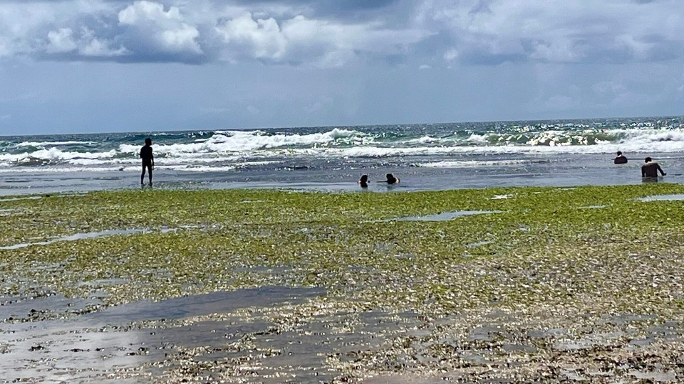 Brasilien - Salvador - Extreme Ebbe, Riff liegt fast trocken