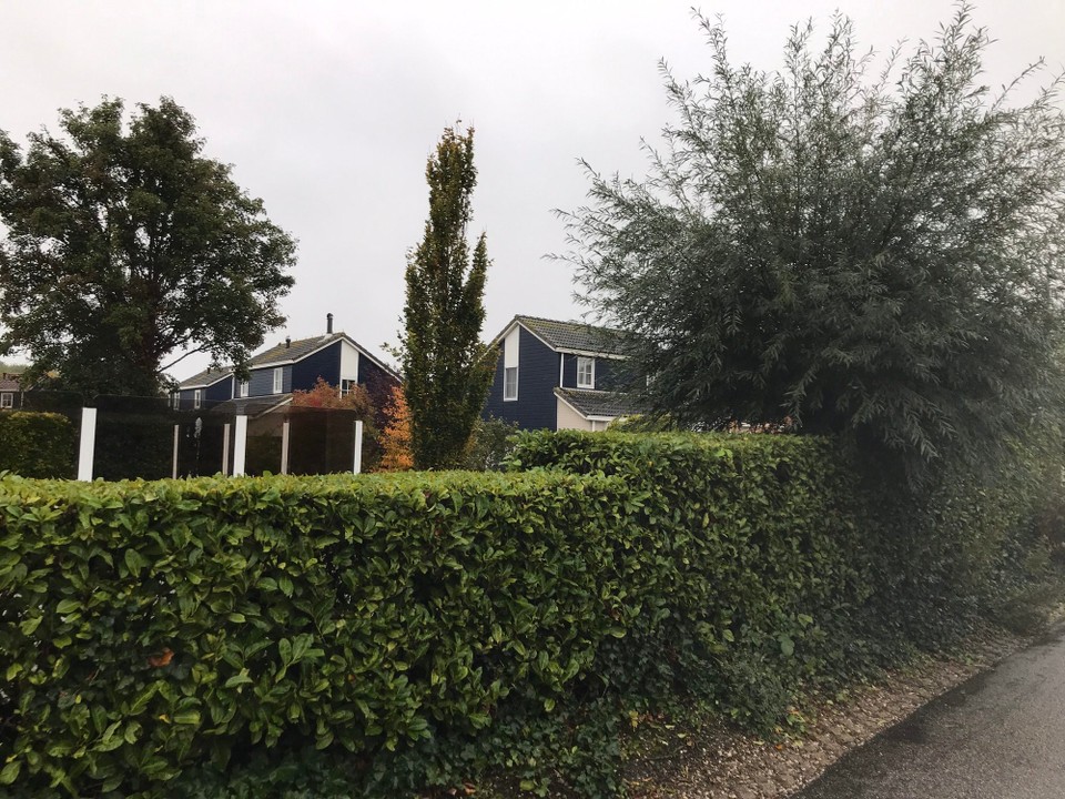 Niederlande - Burgh-Haamstede - 