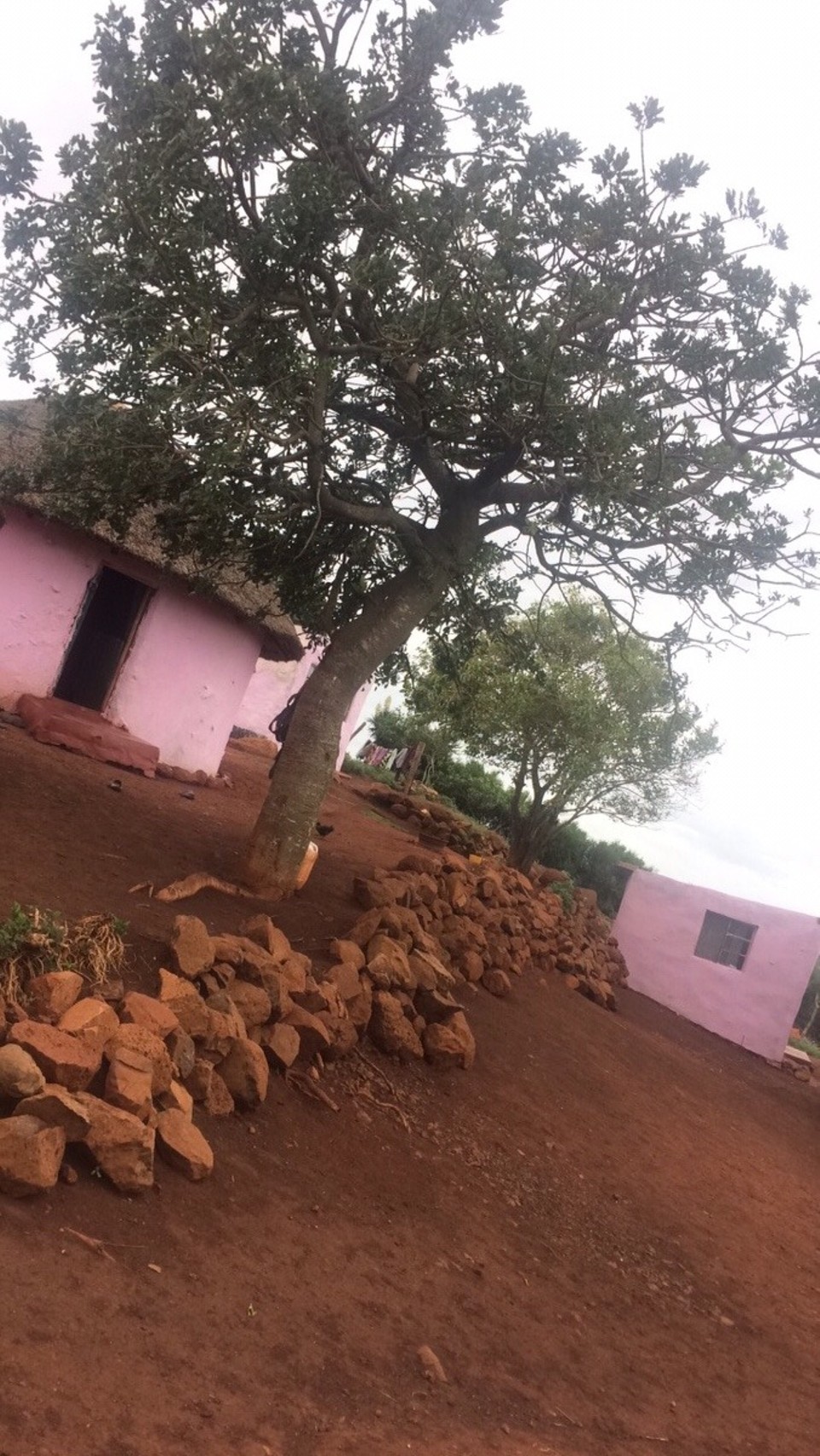 Südafrika -  - Besuch in einem Zuludorf