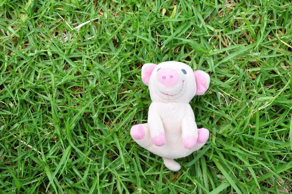 Neuseeland - Cape Reinga - 