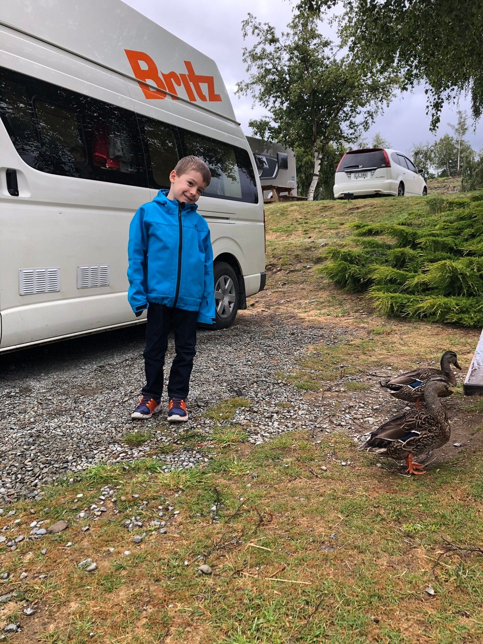 Neuseeland - Lake Tekapo - Enten auf unserem Campingplatz.