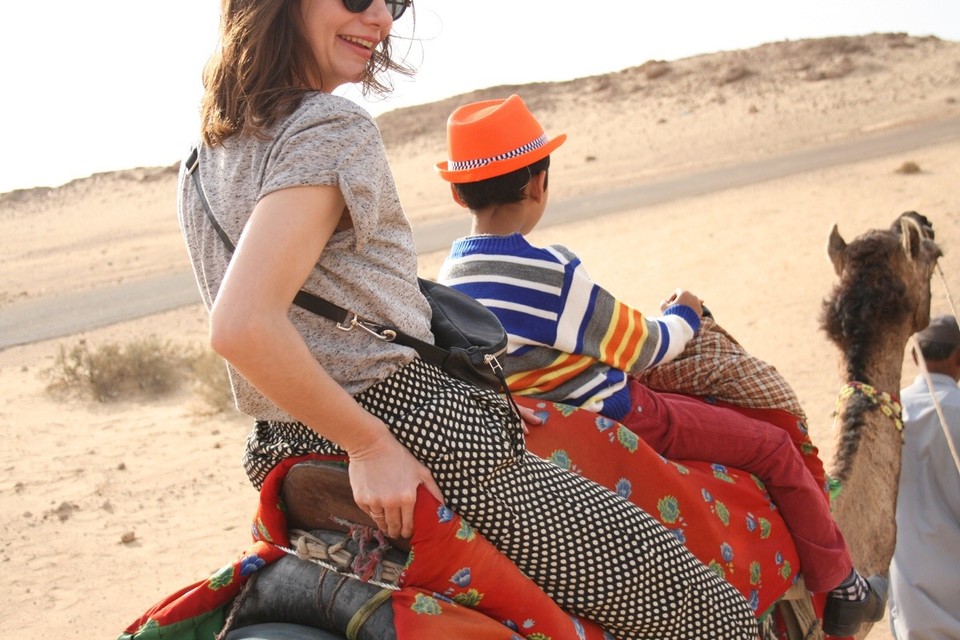 Thar Desert -  - 