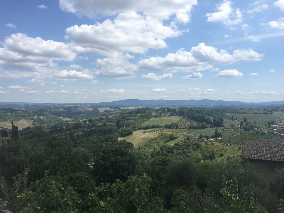 Italy - Florence - Toscana