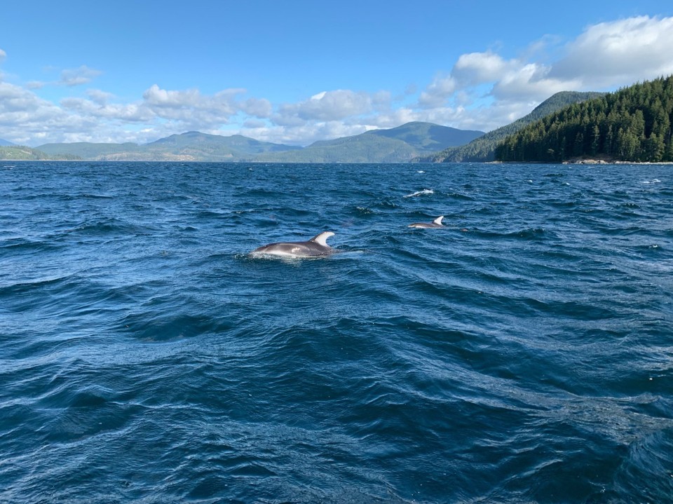 Kanada - Campbell River 11 - 